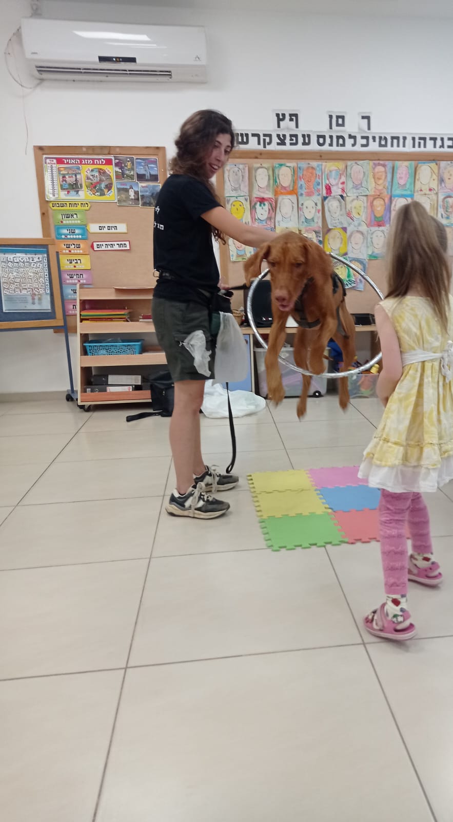 מפגש אישי עם כלב במסגרת טיפולית